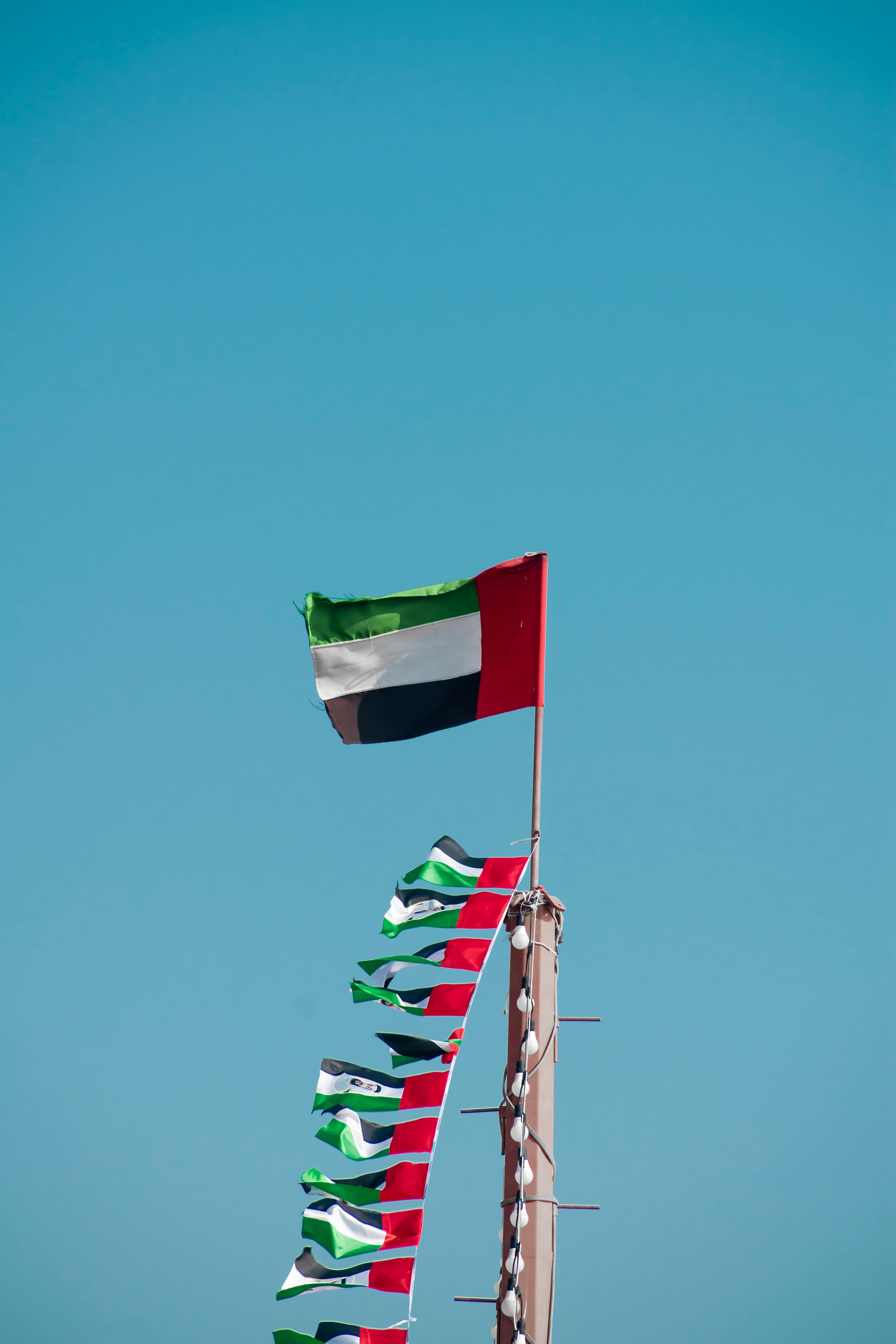 UAE flag background