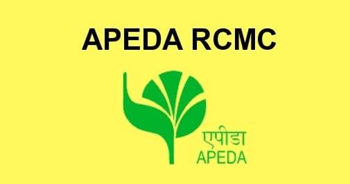 WhatsApp Image 2025-06-05 at 3.36.48 PM